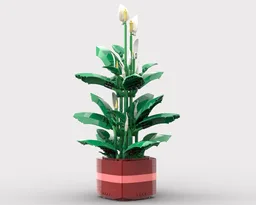 Large Peace Lily