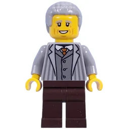 Visitor, Light Bluish Grey Torso, Dark Brown Legs, Light Bluish Grey Hair