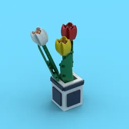Tulip