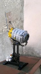 Cygnus