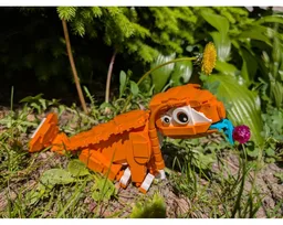 Lizard Doggo