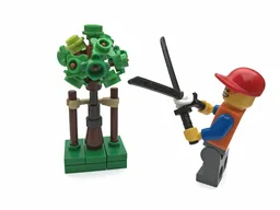 Sapling Tree