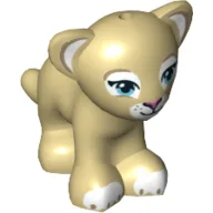 Animal, Big Cat Cub, Lion with Blue Eyes and Dark Pink Nose Print / Tan