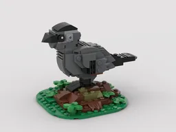 Gray Catbird