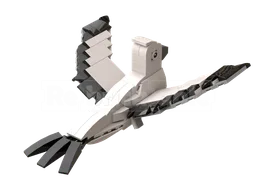 Seabird