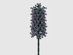 Butterfly Bush / Lilac Flower