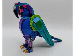31157 Exotic Parrot
