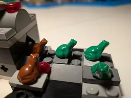 The frog cloning facility!