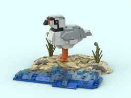 Piping plover