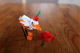 Seagull and Crab