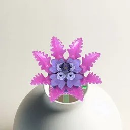 Rhododendra