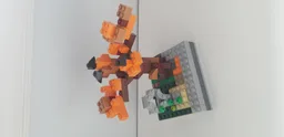 Fall