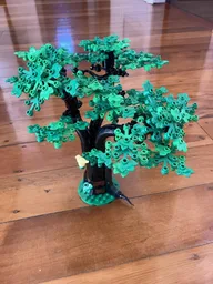 Medieval tree