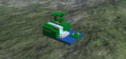 Rainforest