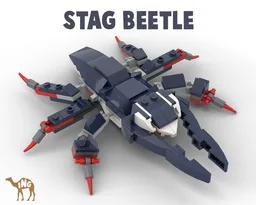 Stag Beetle
