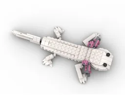 31129 axolotl