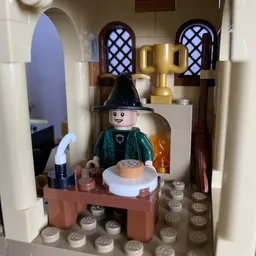 Professor McGonagall's office