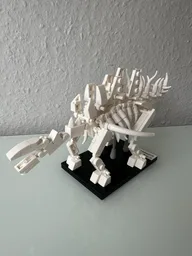 Kentrosaurus Fossil
