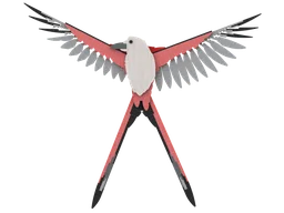 Scissor-Tailed Flycatcher: The Fauna Collection