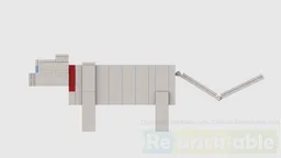 White cat
