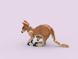 Red Kangaroo