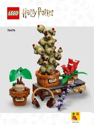 Hogwarts Herbology Plants