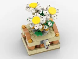 TurnPlant Box #3 Daisies