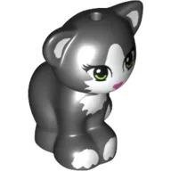 Animal, Cat, Sitting with Light Green Eyes, Dark Pink Nose and White Markings Print / Black