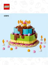 Birthday Party Cake