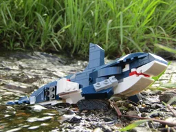 31088 Orca (Orcinus Orca)