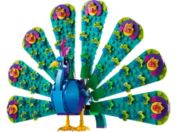 Exotic Peacock