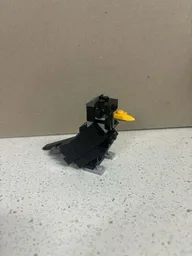 Raven