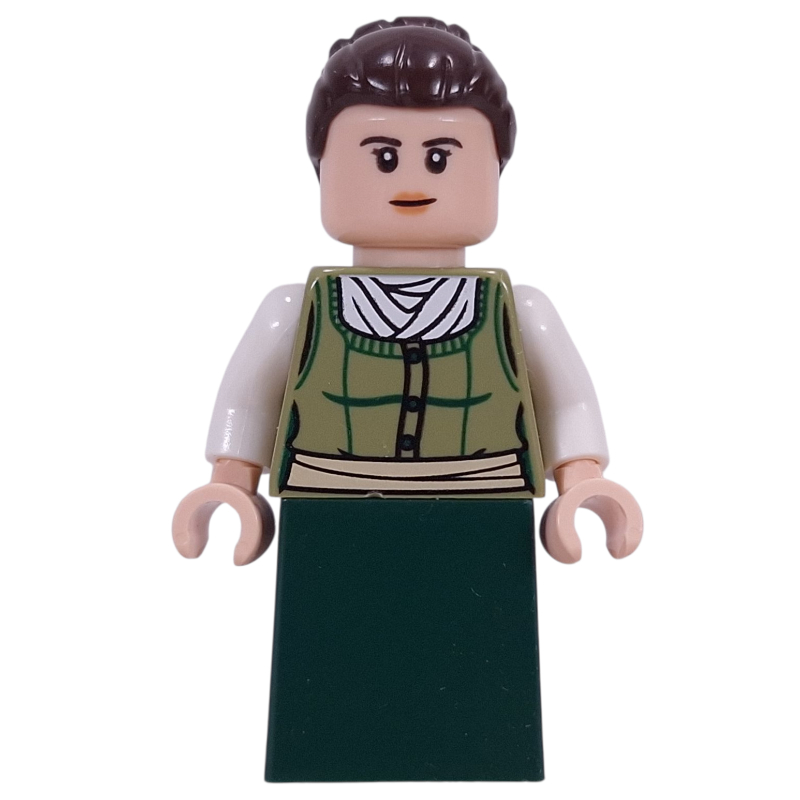 Lego Jane Austen