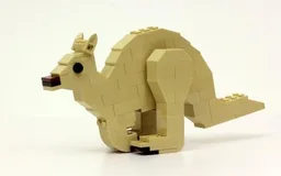 Hopping Kangaroo