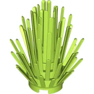 Plant, Bush 2 x 2 x 4 / Lime