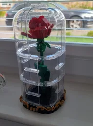The Rose