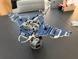 Manta Ray