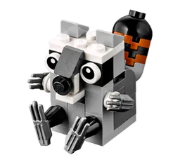 Raccoon