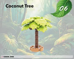 Coconut Tree