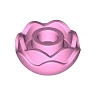 Plant, Flower, Peony Rose with 2 Layers / Bright Pink