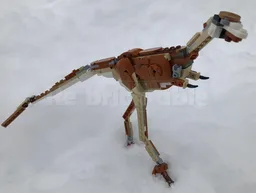 Life Sized juvenile Parvicursor Remotus