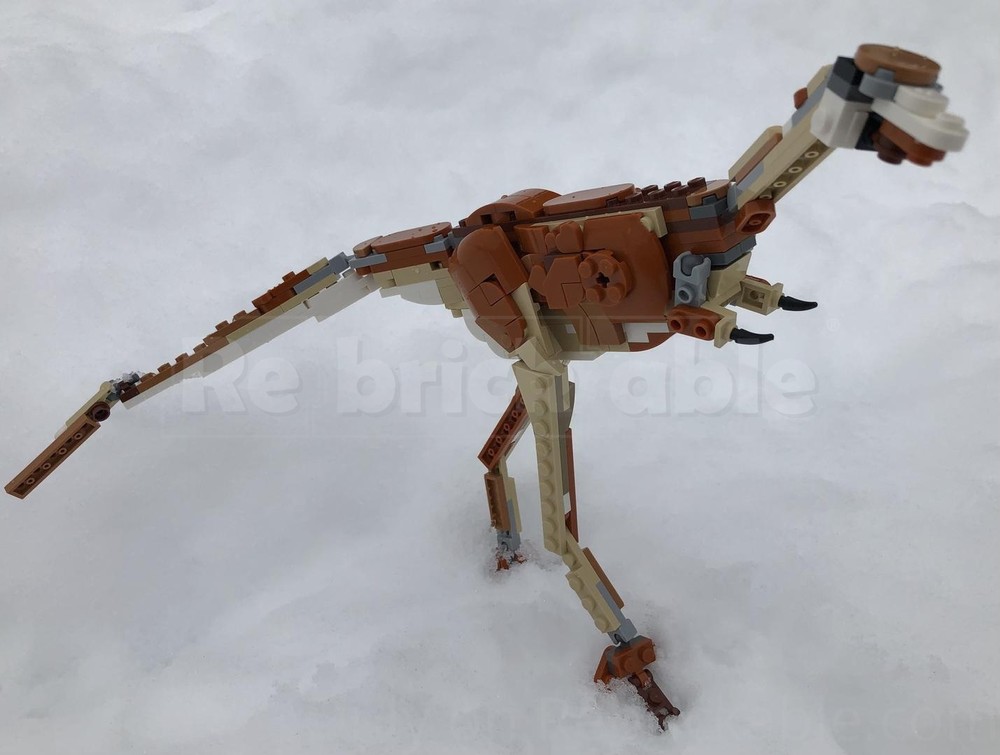 Lego Life Sized juvenile Parvicursor Remotus