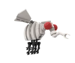 09 Drosophila melanogaster
