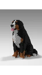 Dog Bernese Mountain