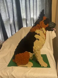 German Shepherd Dog