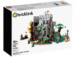 Castle in the Forest