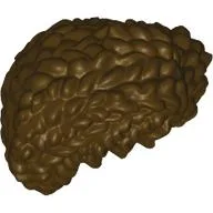 Hair Coiled, Parted / Dark Brown