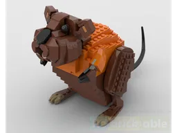 Quokka