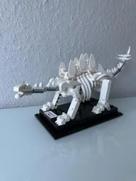 Stegosaurus Fossil
