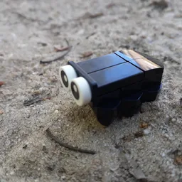 Bug